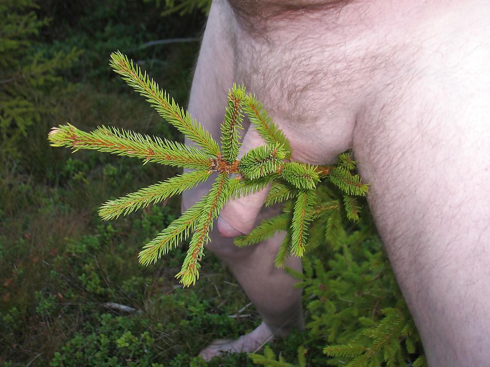 23P Bylting naked in the wood