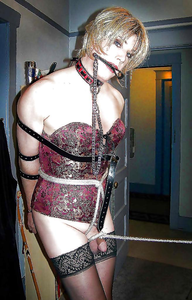 20P SEXY CD SLUTS ALL TIED UP