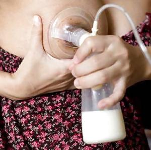 25P The art of milking