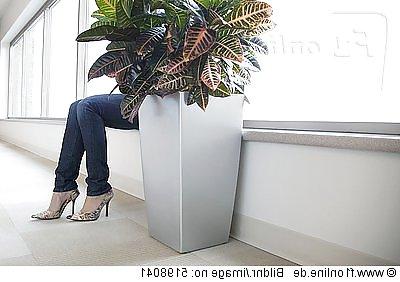 19P Frauen in  enge Jeans