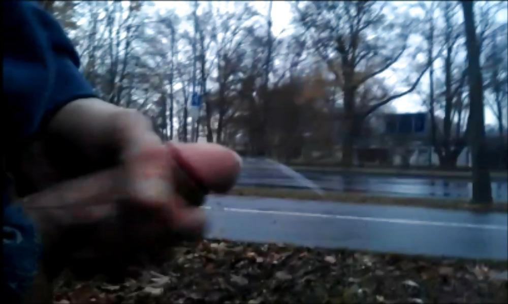 4P Public Cumshot