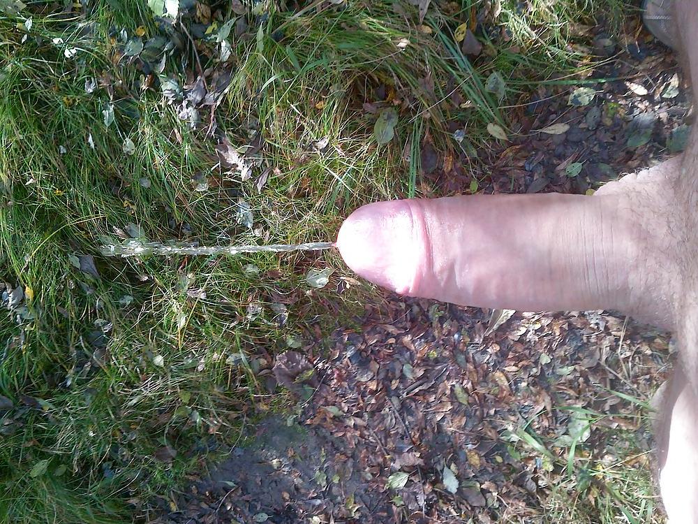 7P Im Wald ...