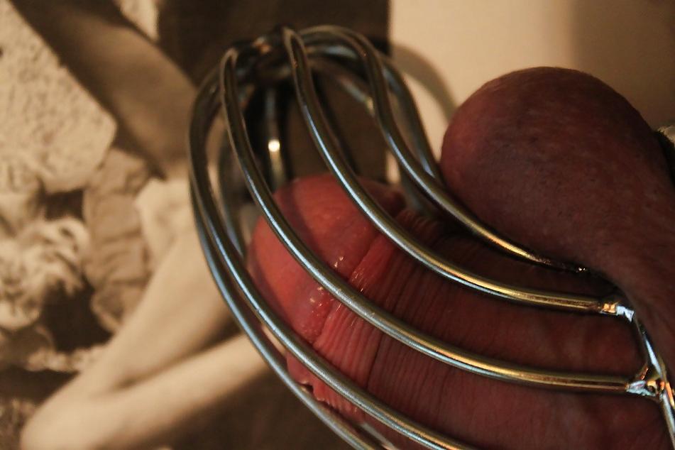 12P Züchtige Trinute für Herrin CountessXotik