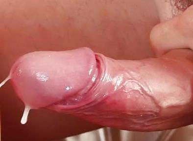 4P More Milk