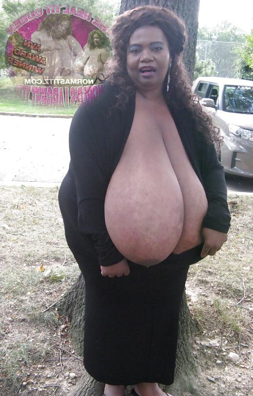 25P Fat Tits