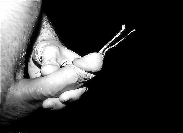 25P Black & White Erotic Art
