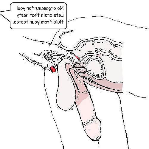 25P Strapon & Anal play toons (11)