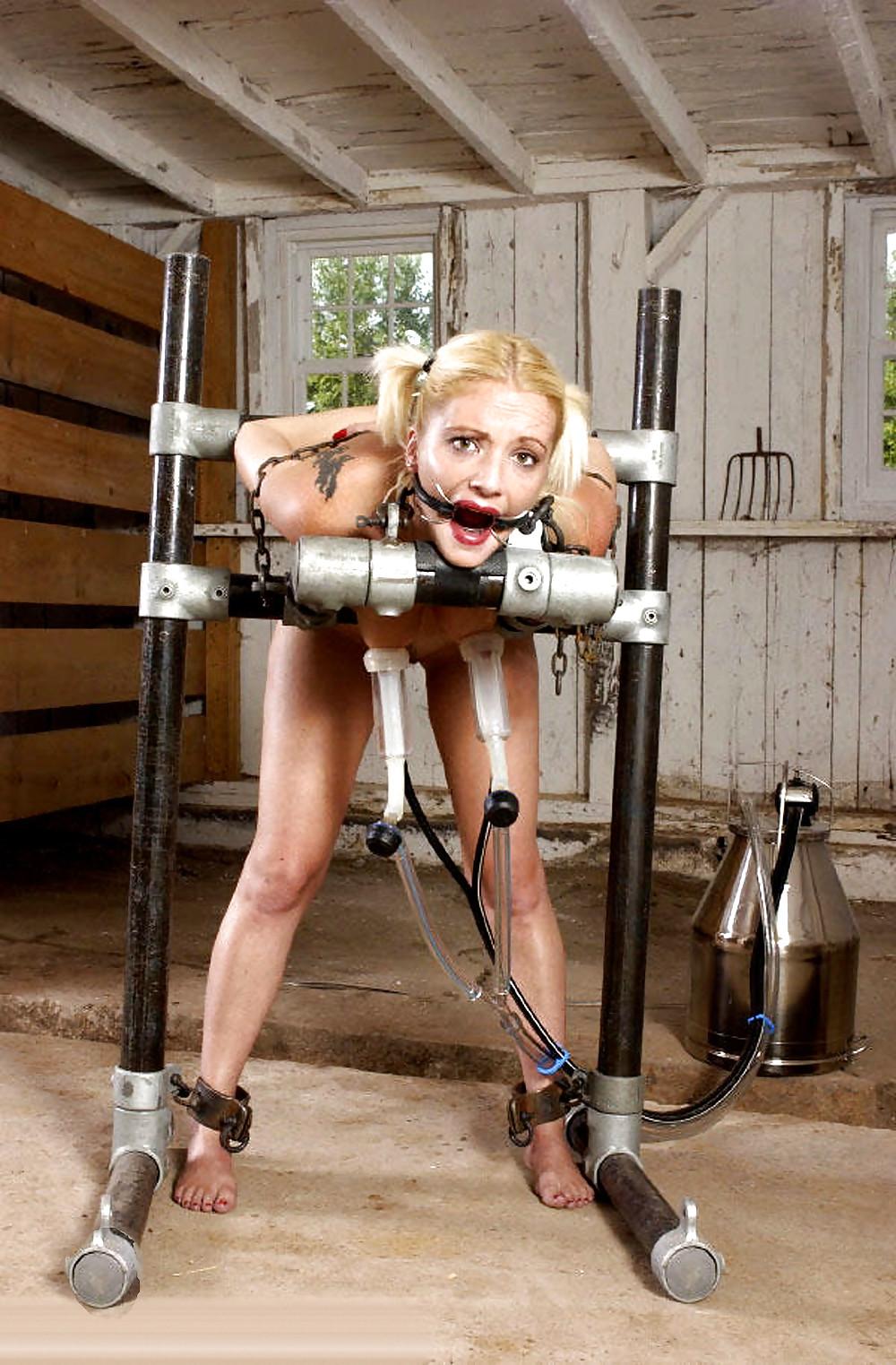 25P Milking