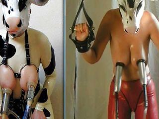25P Milking