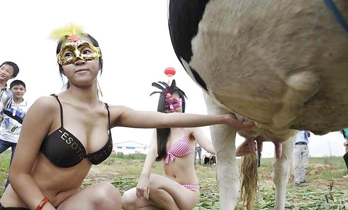 25P Milking