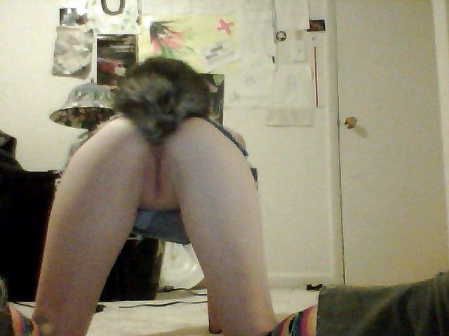 16P Pet play