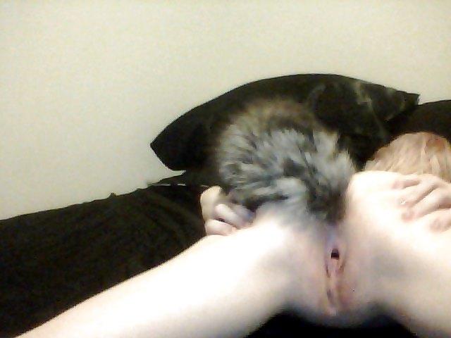 16P Pet play