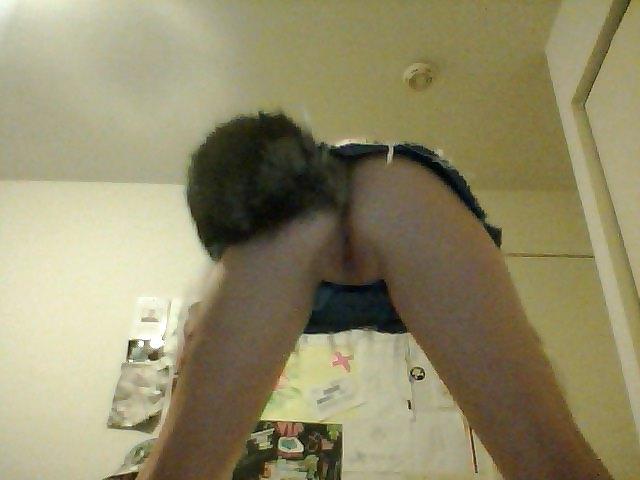16P Pet play