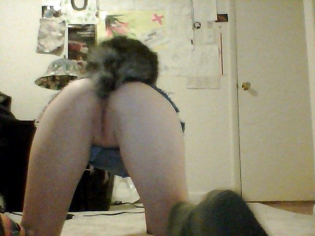 16P Pet play