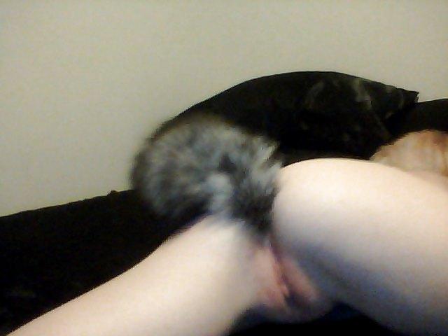 16P Pet play