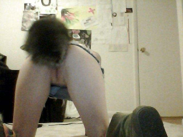 16P Pet play