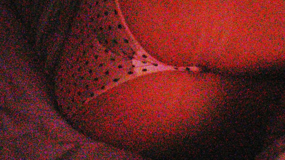 25P Pantie, bathing suite