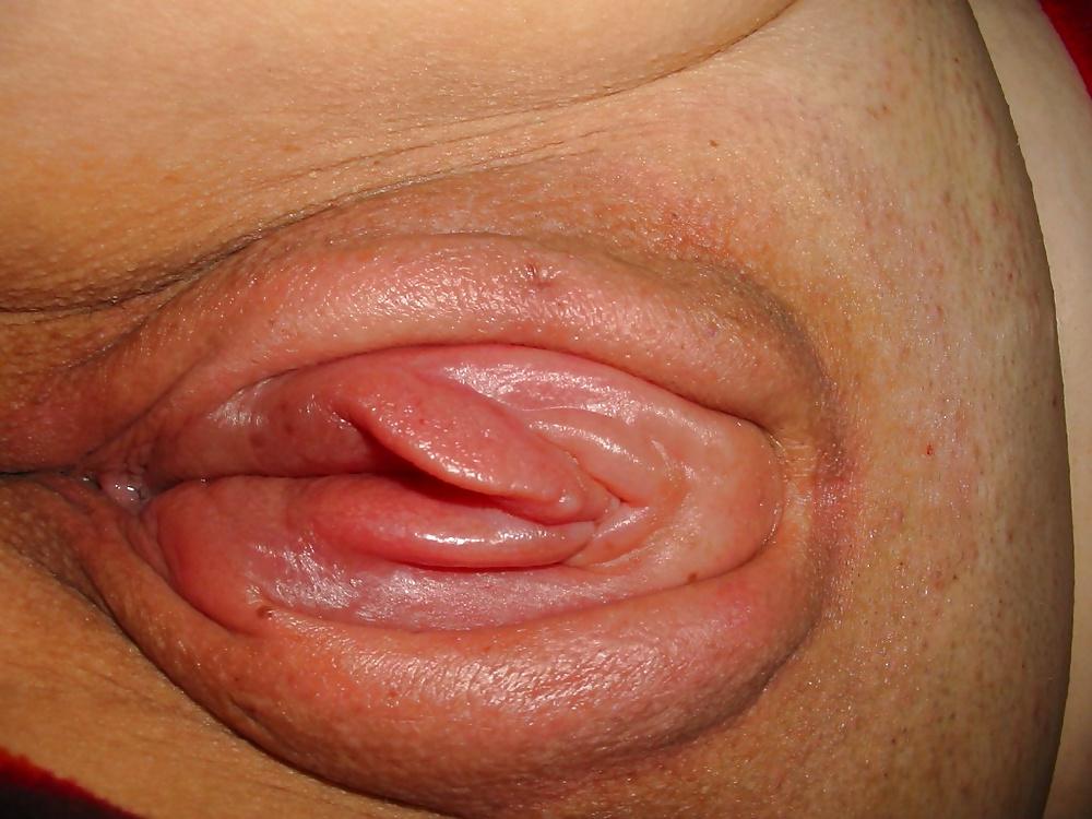 25P Fat Swollen Pussies