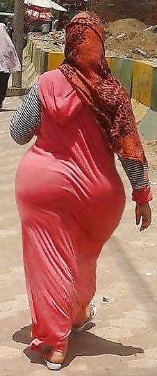 15P Arabian big ass