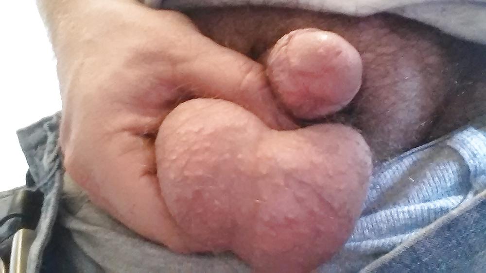 16P Fresh meat on the farm