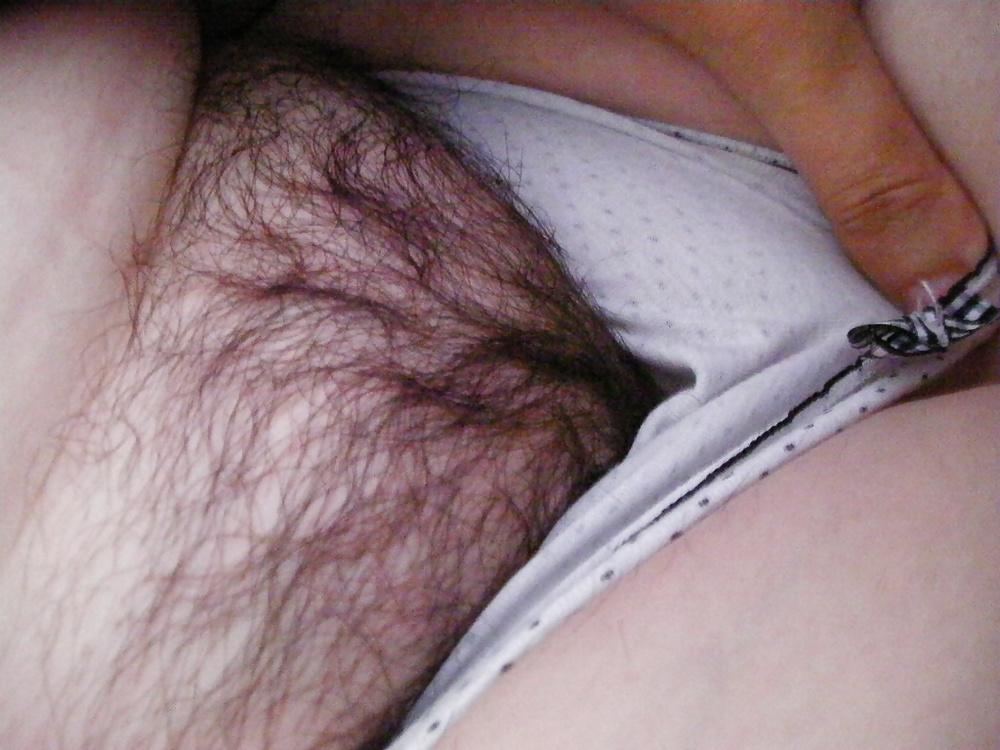 24P Fat Hairy Pussy
