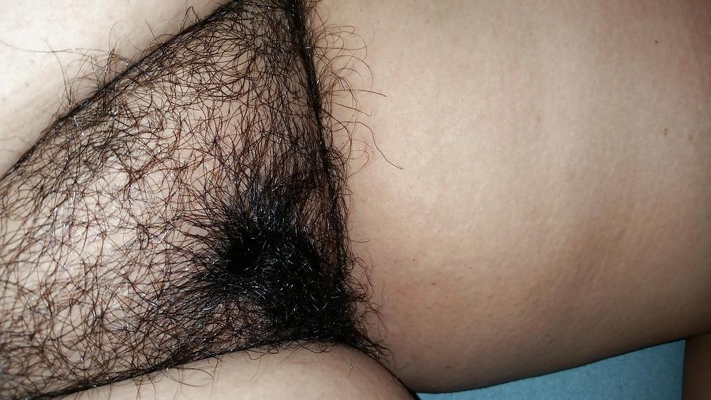 24P Fat Hairy Pussy