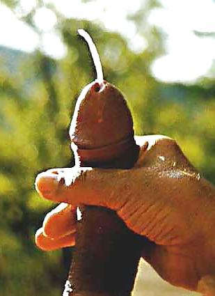 23P Cum-pictures