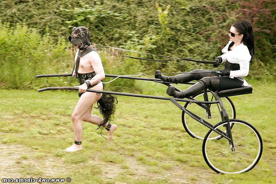 25P Pony Play
