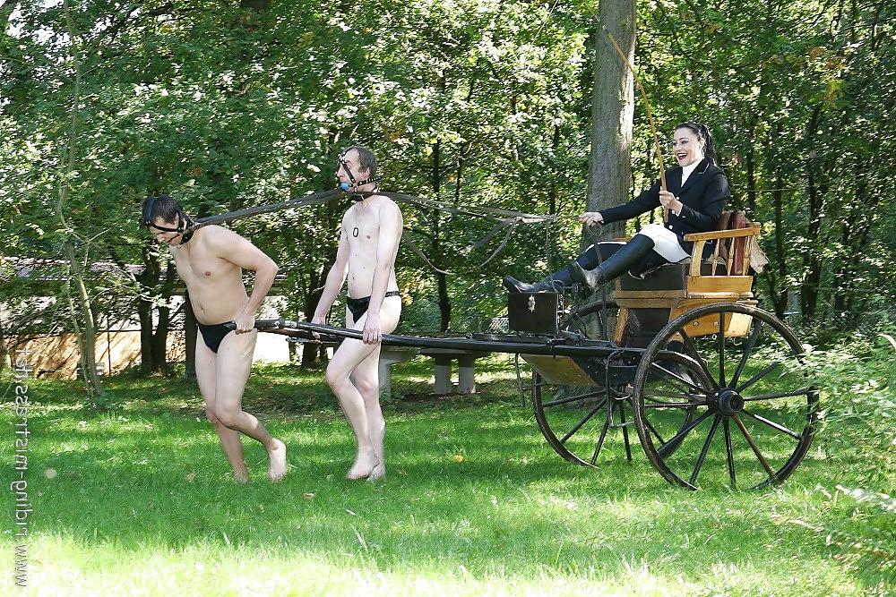 25P Pony Play