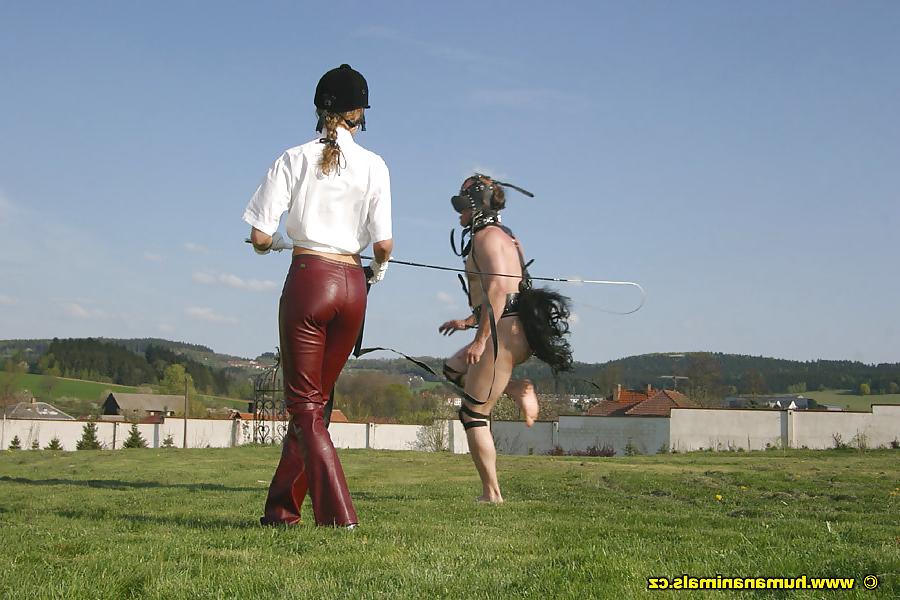 25P Pony Play
