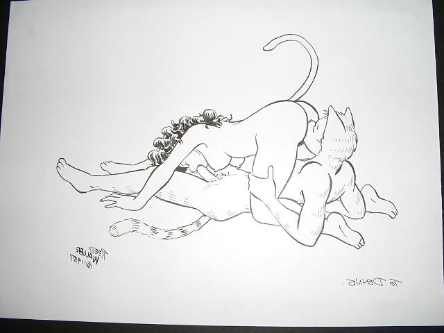 25P Erotic Art drawings