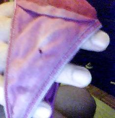 12P Nice silky thong I found today by the laundrymat