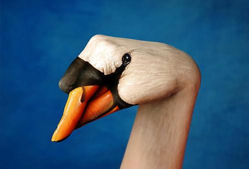 25P BODY PAINT ART