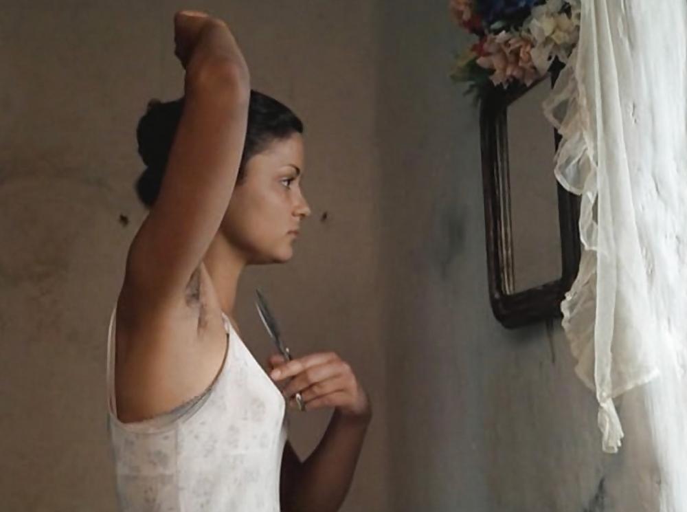 15P Some hairy armpit pics from TV or actresses