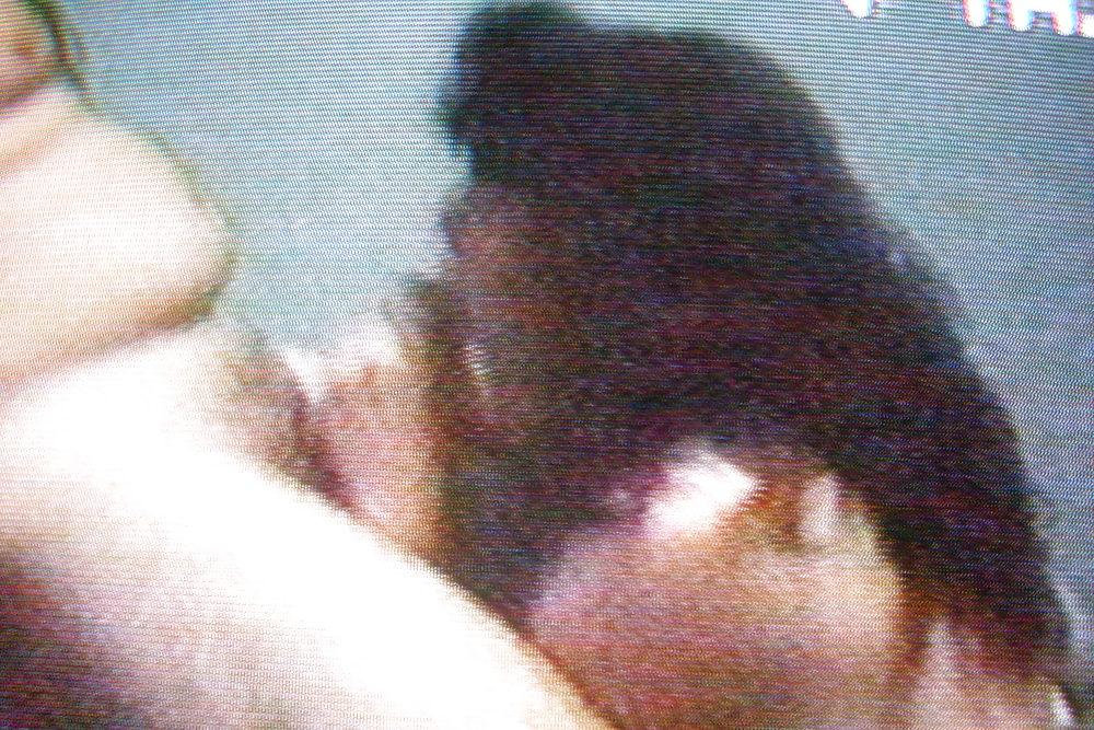 25P Video stills of kim
