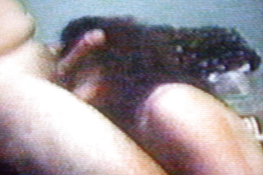 25P Video stills of kim