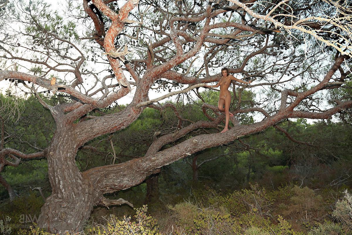 16P Das brünette Model Masha E ist ein sexy Eichhörnchen, das auf einem Baum ficken will