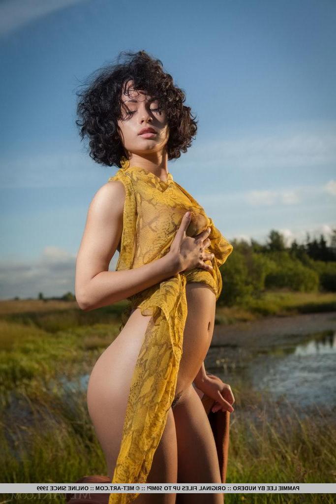 18P Brunette girl Pammie Lee gets naked for you in "Litero"