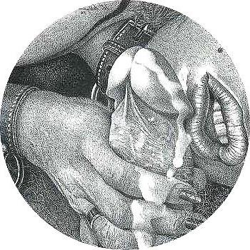 25P Thematic Drawn Porn Art 1 - Blowjobs (1)
