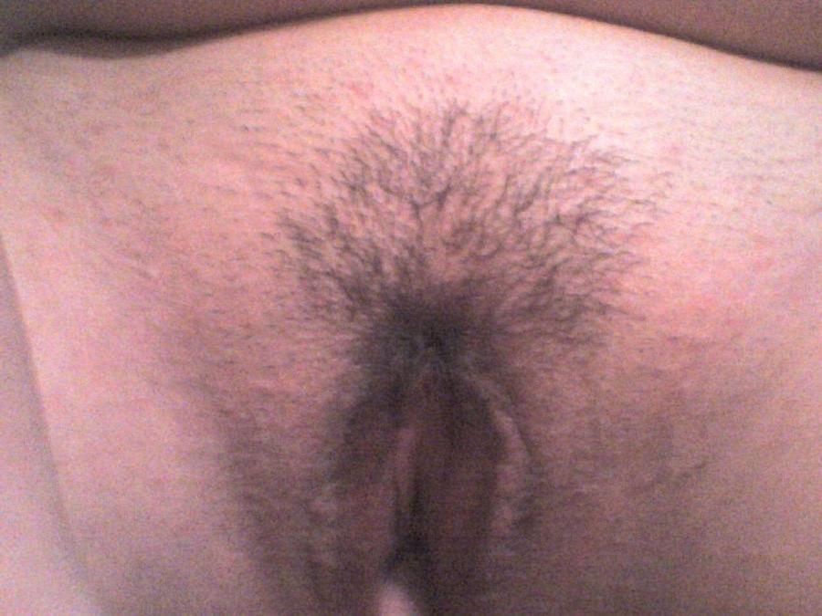 11P Collection of delicious pussies