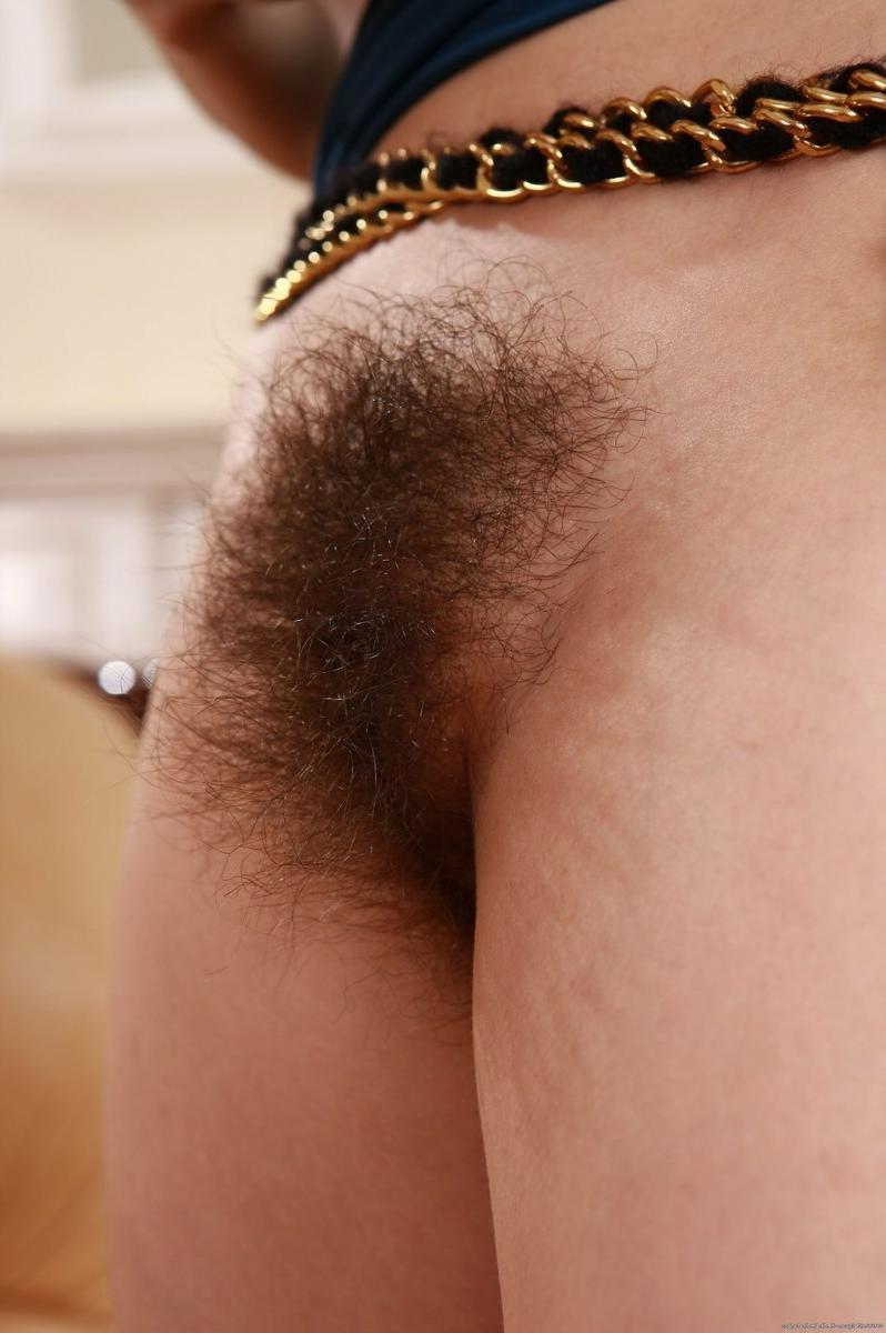 15P Hairy curvy amateur spreads unshaved pussy