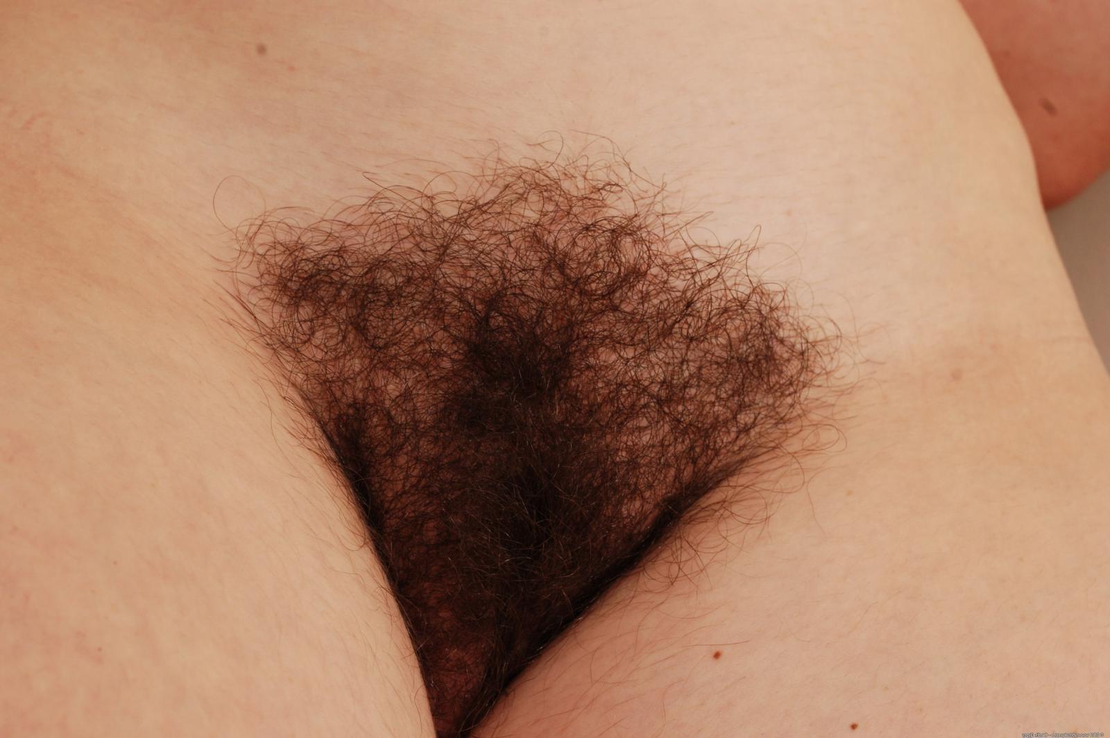 15P Hairy natural amateur Barb spreading pussy