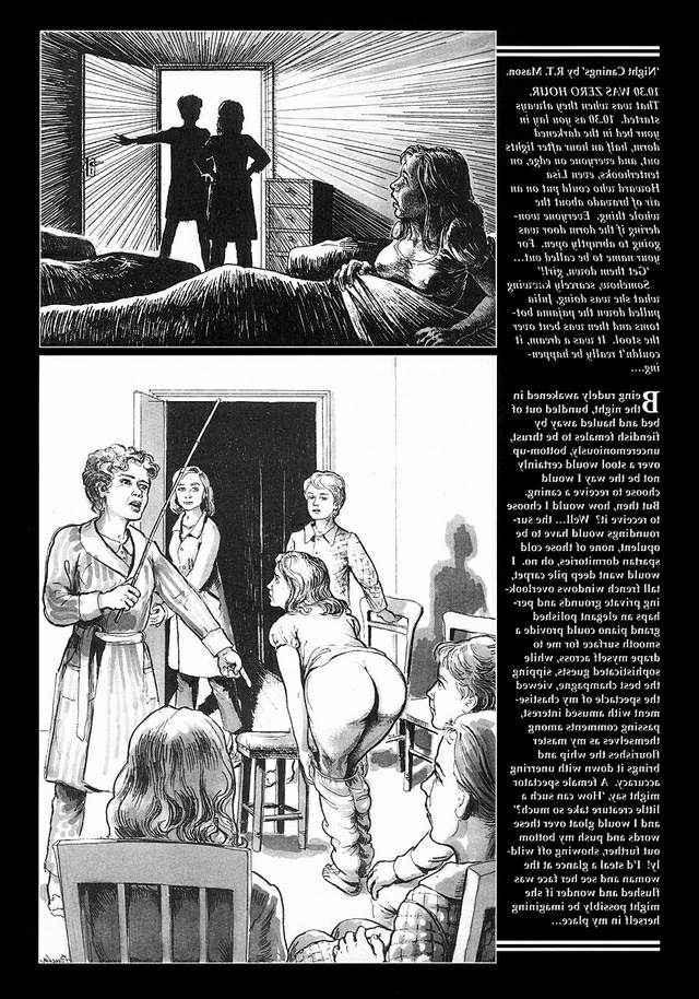 15P Spanking bdsm toons