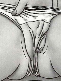12P Comics with woman caught masturbating in the toilet