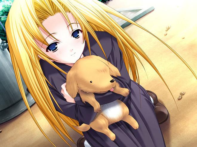 12P Hentai Whore in tshirt sucks cruel Hentai Sex expert