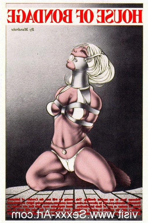 15P classic female rope bondage and pain drawings