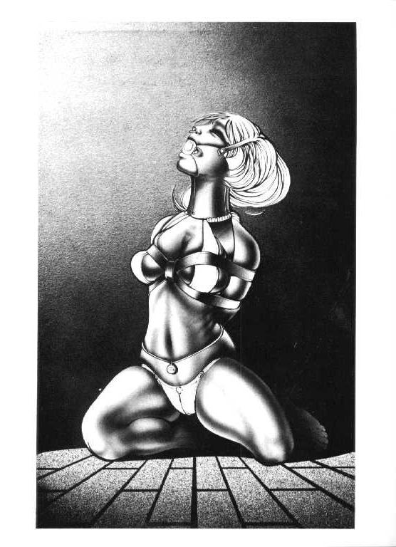 15P bizarre bondage art of beautiful rope tied women