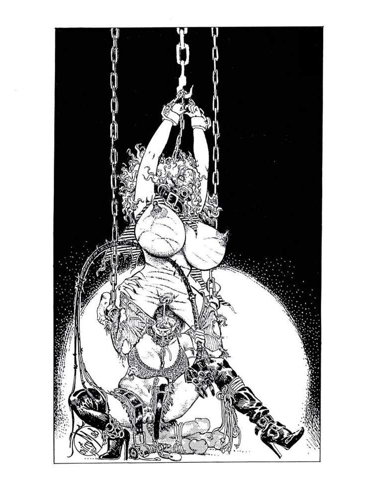 15P giant round breasts rope tied for bondage sexual fetish artworks