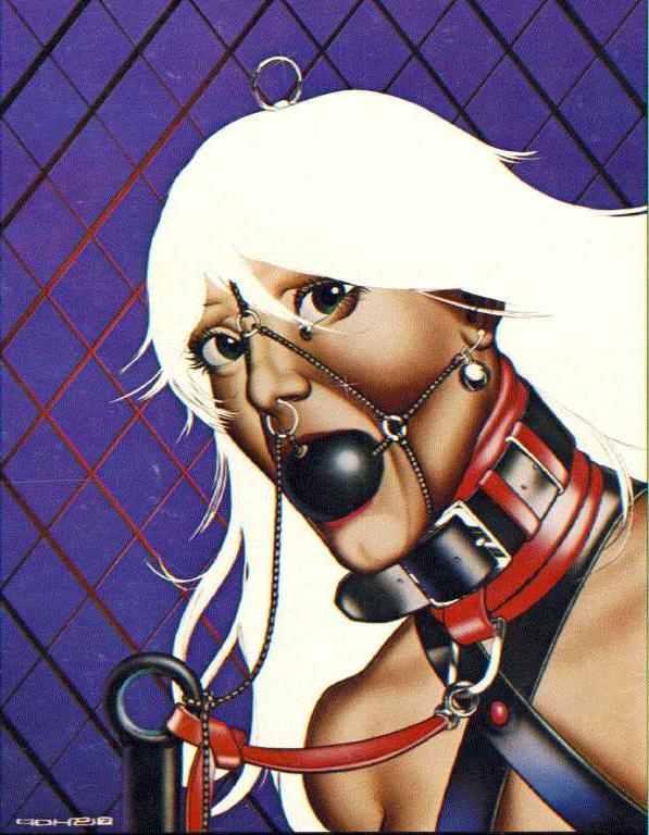 15P erotic sexual bondage artwork with tight rope and leather