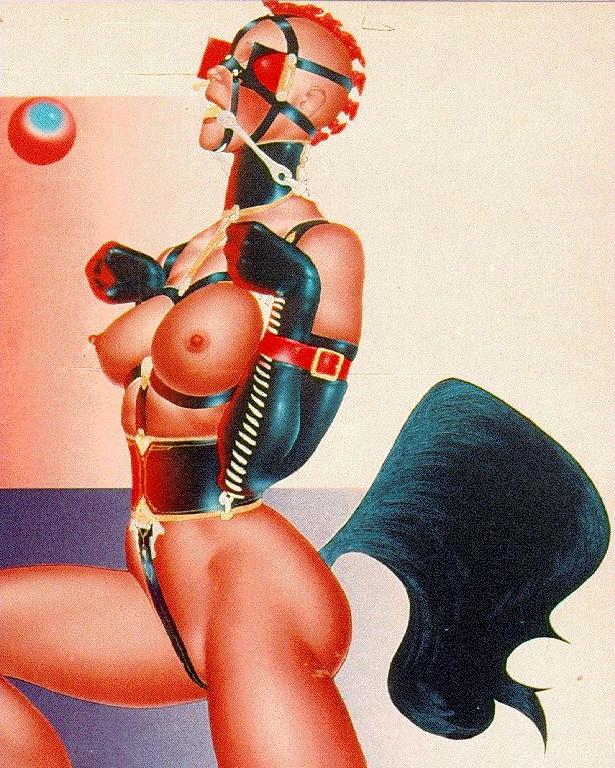 15P erotic sexual bondage artwork with tight rope and leather